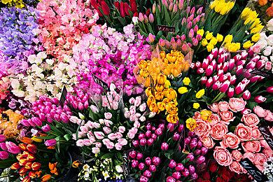 Epic推出Postparty手机应用 轻松分享游戏剪辑